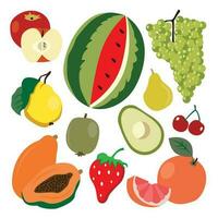 Fruit icon set. Vector illustration in flat style. Isolated on white background