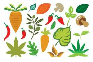 Vegetables set. Vector illustration isolated on white background. Flat style.