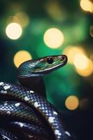 Green snake on the background of a green Christmas tree . Symbol of 2025. Chinese New Year. photo
