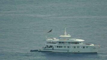 ähnlich Inseln, Thailand November 23, 2016 - - größer entdeckt Adler im koh miang Insel, mu ko ähnlich National Park formal Name - - klang klang video