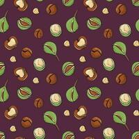 Seamless pattern with macadamia nuts. Design for fabric, textile, wallpaper, packaging. vector