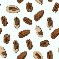 Seamless pattern with pecan nuts. Design for fabric, textile, wallpaper, packaging. vector