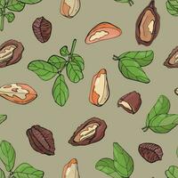 Seamless pattern with brazil nuts. Design for fabric, textile, wallpaper, packaging. vector