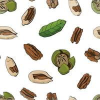 Seamless pattern with pecan nuts. Design for fabric, textile, wallpaper, packaging. vector