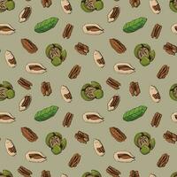 Seamless pattern with pecan nuts. Design for fabric, textile, wallpaper, packaging. vector