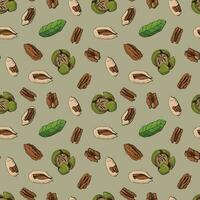 Seamless pattern with pecan nuts. Design for fabric, textile, wallpaper, packaging. vector