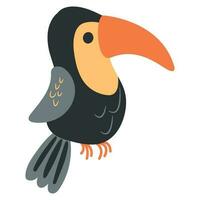 Cute, hand drawn toucan. White background, isolate. Animal safari. vector