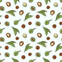 Seamless pattern with macadamia nuts. Design for fabric, textile, wallpaper, packaging. vector