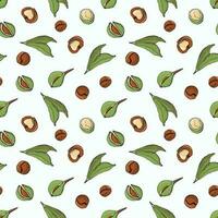 Seamless pattern with macadamia nuts. Design for fabric, textile, wallpaper, packaging. vector