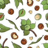 Seamless pattern with macadamia nuts. Design for fabric, textile, wallpaper, packaging. vector