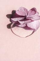 A drop of transparent cosmetic gel with flower on a pink background. photo