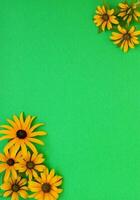 Green grass and yellow flowers on the colorful backgrounds and backdrop photo