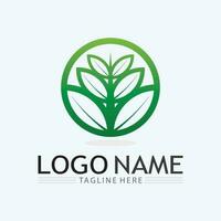 Logos of green Tree leaf ecology vector