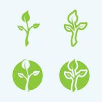 Logos of green Tree leaf ecology vector