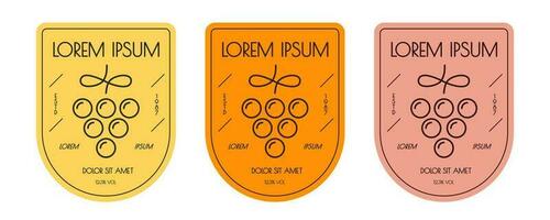 Vine bottle label set grape line style color vector