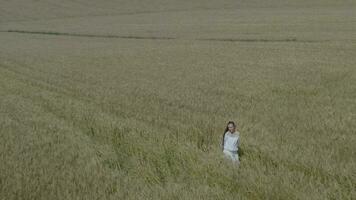 Young lady in the middle of the wheat field video