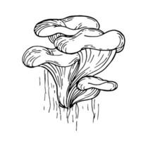 Oyster mushrooms, autumn doodle hand drawing illustration. growing on a tree trunk. Bark texture. Linear vector outline for coloring. For stickers, posters, postcards, design elements.