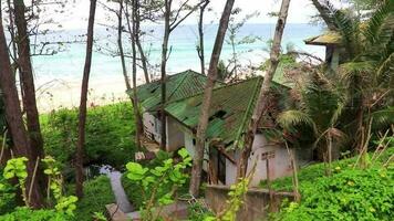 House hut building in tropical jungle on beach in Thailand. video