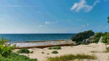 natürlicher meerblick panoramablick tulum ruinen mayastätte tempel mexiko. video