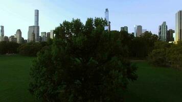 Establishing shot of modern cityscape high rise skyscrapers buildings in business district video