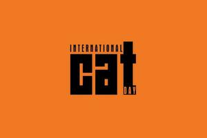 International cat day text design concept vector