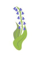 branch blue hand Campanula bell on white background, isolated vector