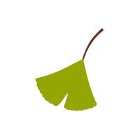 Cartoon flat green ginkgo biloba leaf isolated on white. Nature eco icon. Vector illustration. Leaflet organic icon