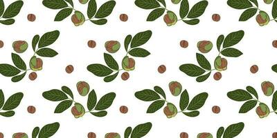 Seamless pattern with walnuts and green leaves. vector