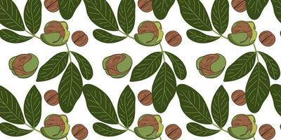 Seamless pattern with walnuts and green leaves. vector