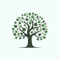 Tree illustration logo, symbol, icon, graphic template vector