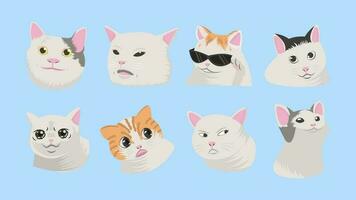 Cat Meme Vector Art, Icons, and Graphics for Free Download