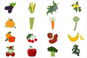 un conjunto de diferente frutas y vegetales vector