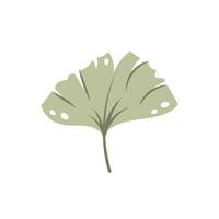 Beautiful flat ginkgo leaf. Jungle foliage illustration. Plant floral design vector