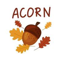Oak fruit on the background of autumn leaves.Cartoon style acorn isolated on a white background. vector