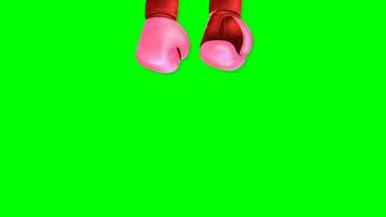 Pink Glove Boxing Againts Breast cancer Animation video