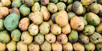 Organic Ripe Mango sale in market close up photo, delicious healthy sweet and green mango photo