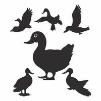 Hunting silhouette duck icon Vector set