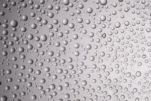 Drops of water on a transparent gray background. photo