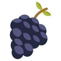 Grape Illustration design on white background vector