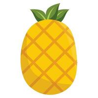 Pineapple Illustration design on white background vector
