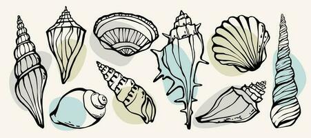 Hand drawn Sea shells freehand line art summer marine design elements collection with abstract pastel color liquid shapes. Vector qraphic illustration.