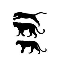 a set of panter silhouettes, vector file eps 10