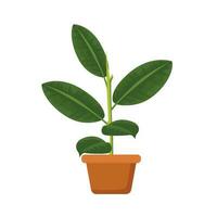 illustration of a plant in a pot vector