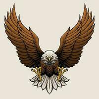 Angry Bald Eagle Hand Draw Style Illustration vector