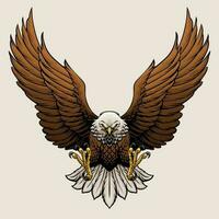 Angry Bald Eagle Hand Draw Style Illustration vector