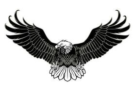 Spreading the wings of the Bald Eagle in monochrome Style vector