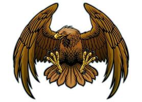 Vector of Hand Draw Golden Eagle Illustration