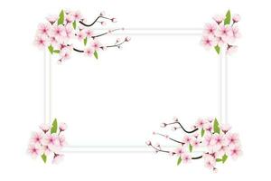 Cherry blossom frame with space for text. Vector illustration. cherry blossom vector. pink sakura flower background. cherry blossom flower blooming vector