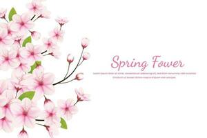 Cherry blossom background with place for text. Vector illustration