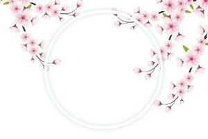 Cherry blossom frame with space for text. Vector illustration. cherry blossom vector. pink sakura flower background. cherry blossom flower blooming vector